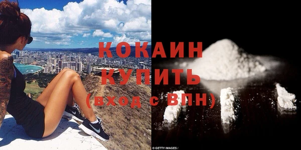 стафф Вяземский