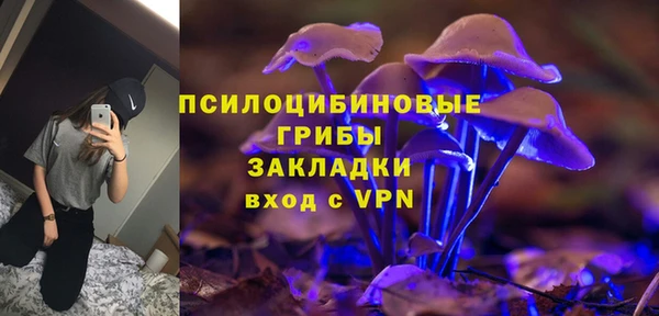 стафф Вяземский